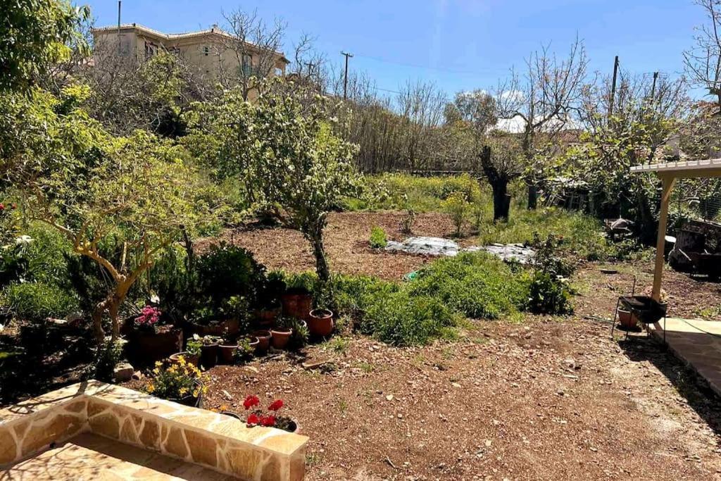 Traditional House With Fresh Vegetables Garden *