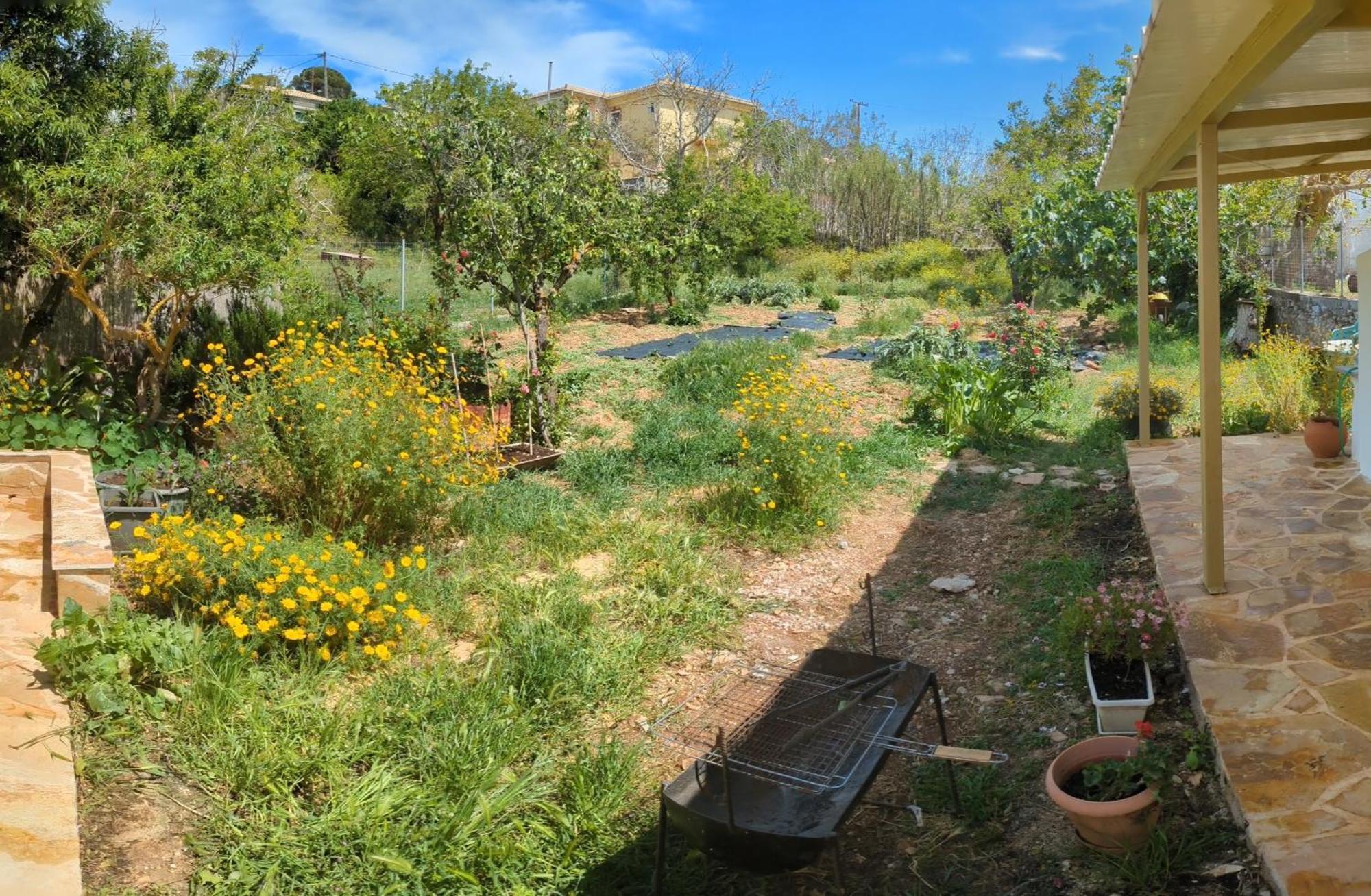 Ferienhaus Traditional House With Fresh Vegetables Garden *